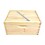 Good Land Bee Supply GL-1B-SPCR Beekeeping Beehive Brood Kit includes Frames, Foundations, Brood Box and Spacer. GLHDBOX
