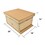 Good Land Bee Supply GL-1BK Beekeeping Single Deep Beehive Kit includes Frames, Foundations, Brood Box, Spacer, Entrance Reducer, Inner Cover, Top and Bottom <br>GL1STACK