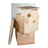 Good Land Bee Supply GL-2B2SK Beekeeping Double Deep Box Beehive Kit includes Frames, Foundations, Metal Queen Excluder, Brood Box, Super Box, Inner Cover, Top and Bottom (GL4STACK)