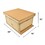 Good Land Bee Supply GL-E2-1BK Beekeeping Single Deep Beehive Kit includes 2 Frame Manual Honey Extractor, Frames, Foundations, Brood Box, Spacer, Inner Cover, Top and Bottom