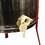Good Land Bee Supply GL-E2-UR/STR Beekeeping Complete Beehive Kit includes 2 Frame Manual Honey Extractor, Decapping Roller & Double Sieve Honey Strainer
