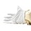Good Land Bee Supply GL-GLV-SML Sheep Skin Beekeeping Protective Gloves with Canvas Sleeves - Small
