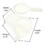 Good Land Bee Supply GLFDR-106mm Beekeeping Entrance Feeder 3-1/4" OD 4" Deep Round Plastic