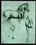 Parastone DAV02 Horse by Leonardo daVinci School, Parastone Collection