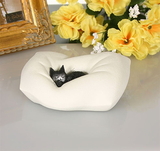 Parastone DUB45 Cat Sleeping on Pillow by Dubout