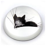 Parastone PDUB4 Kitty Sleeping on Pillow Glass Paperweight by Dubout