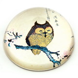 Parastone PJAP1 Japanese Owl on Magnolia Branch Woodblock Glass Paperweight