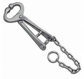 Agri-Pro 099651 Bull Lead With Chain - 13&#189;In - Each