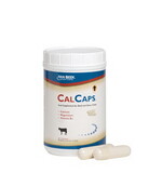 Van Beek Natural Science 604005 Calcaps® Feed Supplement - 40/Bottle
