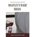 Shapley'S MSW/SPRAY DS Magic Sheen Hair Polish+Sprayer 32Oz