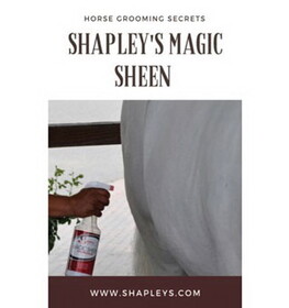 Shapley'S MSW/SPRAY DS Magic Sheen Hair Polish+Sprayer 32Oz