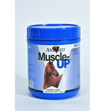 Animed 90371 Muscle-Up™ - 2.5Lb - Each