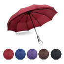 TOPTIE Automatic Travel Umbrella, Windproof Sun&Rain Folding Umbrellas with 10 Ribs