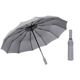 TOPTIE 12 Ribs Windproof Umbrella for Rain, Large Travel Umbrella with Auto Open and Close