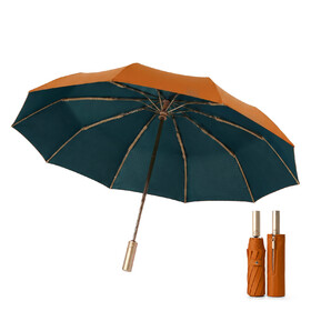 TOPTIE Large Compact Travel Umbrella, 46-Inch Windproof Folding Umbrella with Auto Open & Close, Reinforced 10-Rib Large Canopy Umbrella for Men & Women