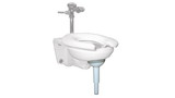 AliMed Wall-Mounted Toilet Support