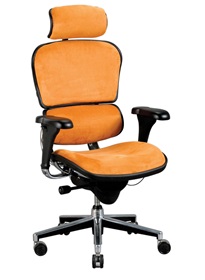 AliMed 71888- ErgoHuman Suede Chair