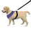 GOGO No-Pull Mesh Dog Harness Vest And Leash Set, For Puppy Pet
