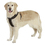 GOGO Nylon Adjustable Dog Harness, No-pull Dog Harnesses