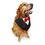 TopTie Dog Groom Tuxedo Triangle Scarf, Wedding Tie, Pet Costume, Halloween