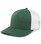 Dark Green/White/Gold (534)