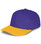 Purple/Gold (495)