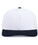 White/Navy (221)