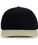 Black/Vegas Gold (255)