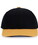 Black/Gold (421)