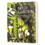 Books Seed Garden, The, Price/1 book