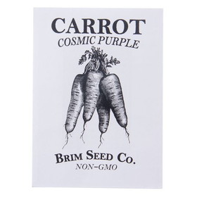 Brim Seed Co. Carrot, Cosmic Purple Seed