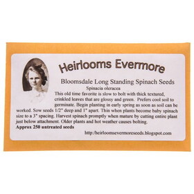 Heirlooms Evermore Bloomsdale Long Standing Spinach Seeds