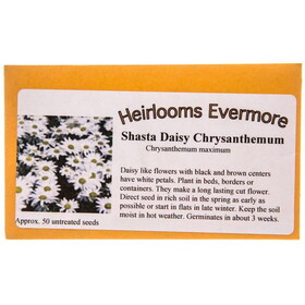 Heirlooms Evermore Shasta Daisy Chrysanthemum