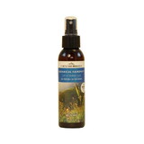 Kettle Care Botanical Hair Spray, Soft & Flexible Hold