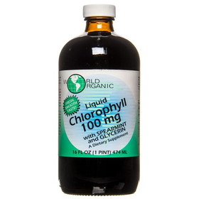 World Organics Chlorophyll with Spearmint, Liquid