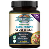 AzureWell Para-Punch GI Defender