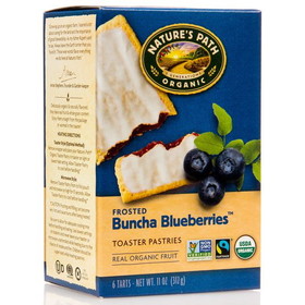 Nature's Path Toaster Pastries, Blueberry, Frosted, Organic