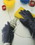 BASCO BEST &#174; Chloroflex Neoprene Gloves, Price/pair