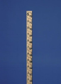 BASCO Hardwood Gauge Pole - 12 Feet
