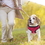 Brybelly Medium Red Soft'n'Safe Dog Harness
