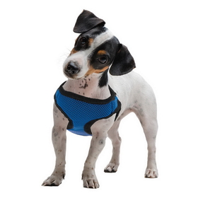 Brybelly Medium Blue Soft'n'Safe Dog Harness