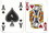 Brybelly Single Deck Used in Casino Playing Cards - Plaza