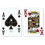 Brybelly Single Deck Used in Casino Playing Cards - Cosmopolitan