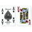 Brybelly Single Deck Used in Casino Playing Cards - Pleasure Pit