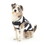 Brybelly Bad To The Bone Jailbird Dog Shirt, Large