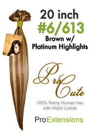 Brybelly #6/613 Chestnut Brown w/Platinum Highlights Pro Cute