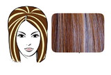 Brybelly #6/613 Chestnut Brown w/ Platinum Pro Pump - Tease With Ease
