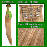 Brybelly #22 Golden Blonde - 24 inch REMI