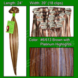 Brybelly #6/613 Chestnut Brown w/ Platinum Highlights - 24 inch