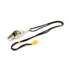 Brybelly Stainless Steel Coach's Whistle with Lanyard